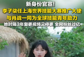 李子柒突然杀回来了 新身份引爆全网