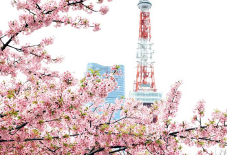 日本宣布7月1日起，赴日签证费用涨价5倍