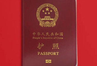 不少中国人崩溃抗议“只制裁我们猪肝红护照”