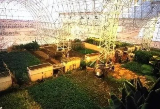 美国曾做一个实验 把4男4女关在一起 结果…