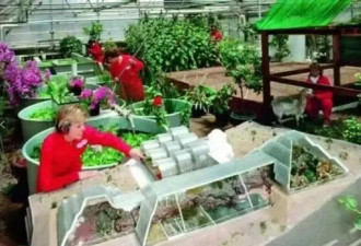 美国曾做一个实验 把4男4女关在一起 结果…