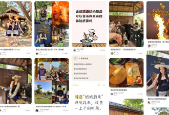 放弃出片的中产，挤爆旅游兴趣班