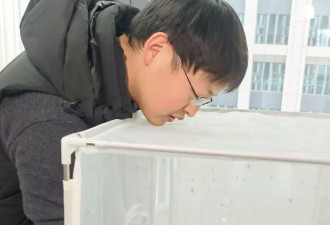 中国青年发明AI激光“灭蚊神器”爆红 海外爆红卖270万美元