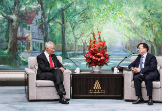 新加坡的中国焦虑：我们是谁，该怎么办？