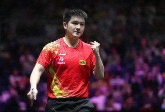 杨颖复出碰壁？樊振东实力破圈？黄圣依转型？
