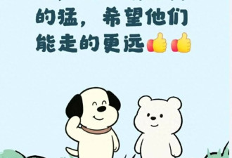 网友排队给西班牙队道歉:原来佛得角真的这么强