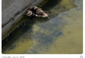 死鸭照片疯传...川普头痛难题
