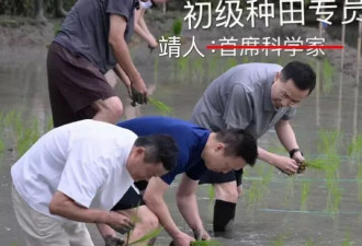 马云与阿里众高管下田插秧，这次是真“对齐”