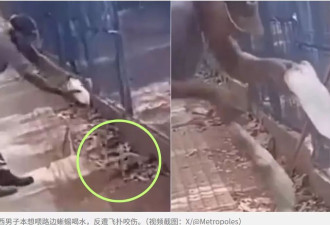 蜥蜴紧咬不放!巴西男子好心喂水反遭狠咬失一指