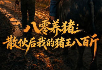 "人是干不赢AI的":中国短剧产业失业潮