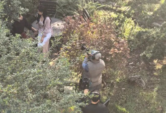 "人是干不赢AI的":中国短剧产业失业潮
