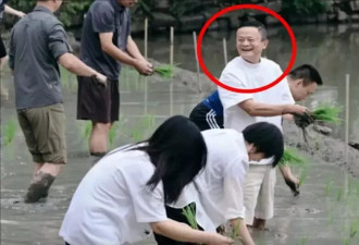 马云带高管插秧！网友热议：转型做“马农”吗？