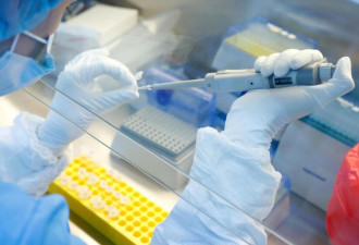 美国仍处于生物技术创新前沿 中国紧随其后