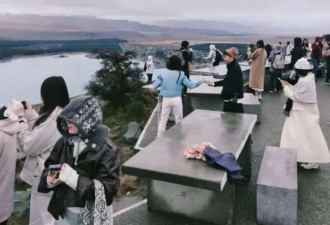 新西兰请3个中国家庭免费旅游10天 烧掉60万刀