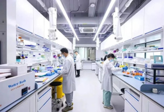 国际生35万，中国这所大学太敢定价了