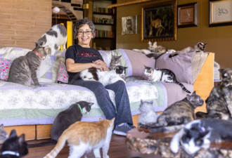 “取消匹配吧，我有三只猫”——当代女性的约会死穴