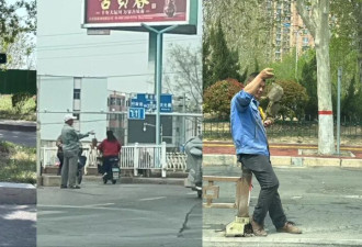 老大爷水库钓到19.8斤大老鳖，以为很值钱...