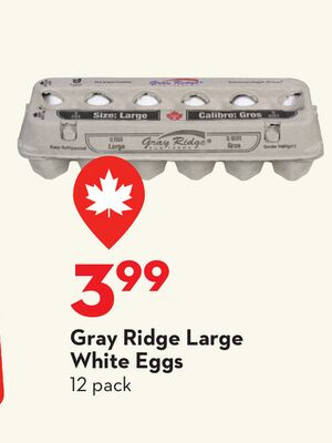 Gray Ridge 大号白鸡蛋