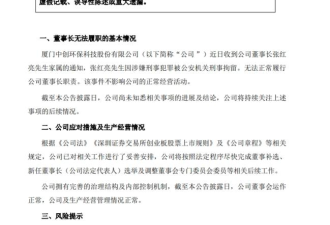 同一日，两家中国上市公司发公告：董事长被刑拘