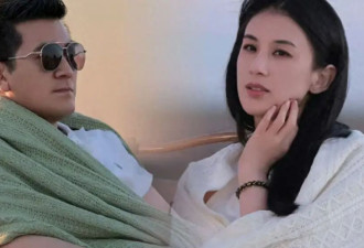 套现28亿仅冰山一角！杨子家族再传"坏消息"，怪不得黄圣依要离婚