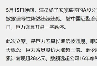 套现28亿仅冰山一角！杨子家族再传"坏消息"，怪不得黄圣依要离婚