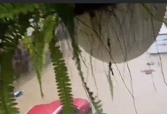 台北豪雨成灾 满街泥水惊人画面曝
