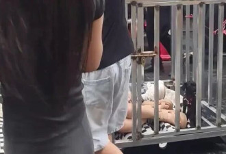 湖南两年轻女子和狗被“浸猪笼”游街 警方回应