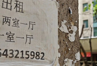 租房鄙视链的底端，挤满高龄、孕期、养宠人