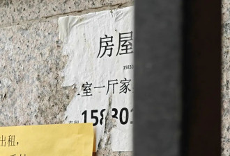 租房鄙视链的底端，挤满高龄、孕期、养宠人