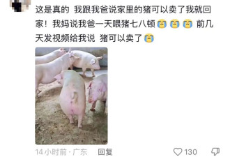 我对我爸说杏熟了我就回去 然后我爸天天去看杏