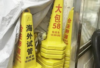 郑州小区出现代孕广告 称“精卵可运出国”做试管婴儿