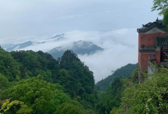 辞职上武当山当道士 发现山上也是职场 下山回炉高考…