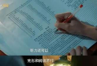 今年，国产剧癫出新高度