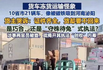河南泌阳独创的“虹吸执法”，比“远洋捕捞”更恶劣