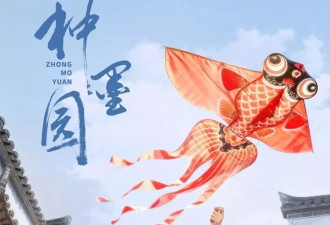 36集现实题材剧来了！郑业成张月领衔11戏骨