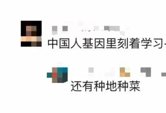 中国都市中产最烧钱的户外运动：种地