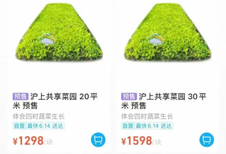中国都市中产最烧钱的户外运动：种地