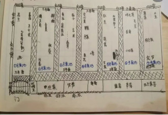中国都市中产最烧钱的户外运动：种地