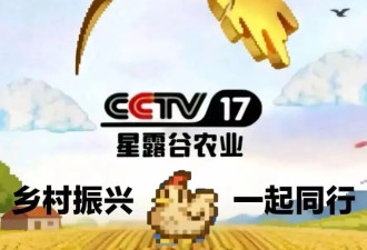 中国都市中产最烧钱的户外运动：种地