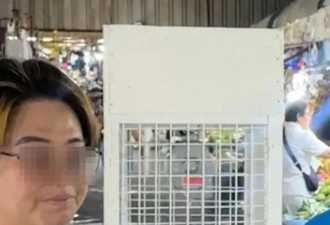 中国旅行博主称到菲律宾第1天遭人下药迷晕盗钱财