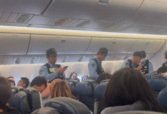 大妈朝空姐扔餐具 上海飞旧金山航班紧急备降日本