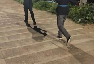 儿子用一根绳子每天带脑梗父亲跑步 奇迹发生了！