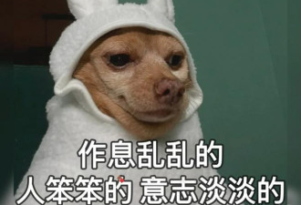 新加坡人均有效生命远超中国 这些数据令人震撼