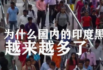 触目惊心！印度黑工来华黑色产业链曝光