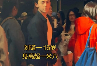 刘烨儿子久违现身，过了容貌尴尬期变更帅了
