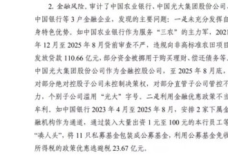 多家大银行被点名，审计报告有什么警示？