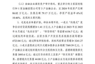 多家大银行被点名，审计报告有什么警示？