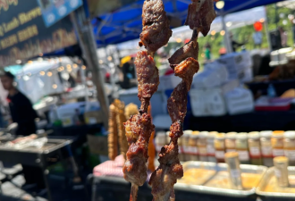 多伦多亚洲美食节网友热议：美食多元，但是吐槽价格
