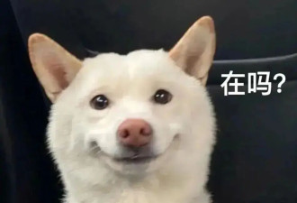 考古|孙兴慜陷世界杯出线危局？被评亚洲足球第一人的他同样是女团收割机