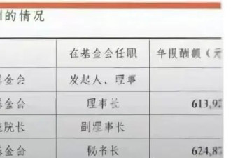 韩红基金会的领导年薪60多万！是不是太夸张了点